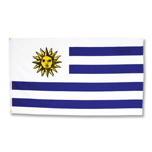 Fahne Uruguay
