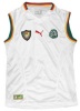 TRIKOT KAMERUN AWAY PUMA